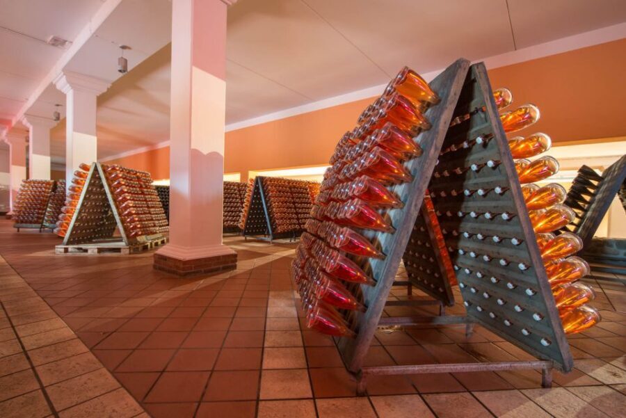 Lake Garda: Garda Hills Wine Tour and Tasting - Should You Book This Wine Tour on Lake Garda?