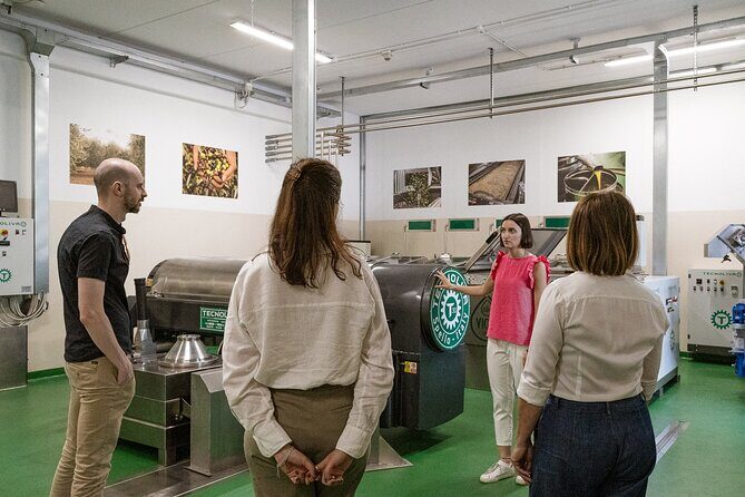 Lake Garda Olive Oil Tour and Tasting Experience - Stop 1: Bardolino Timing That Makes the Day Feel Easy