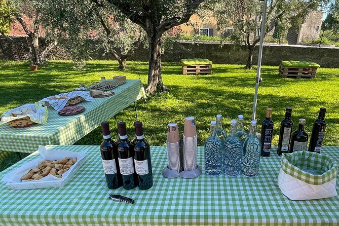 Lake Garda Olive Oil Tour and Tasting Experience - Practical Details That Help You Plan