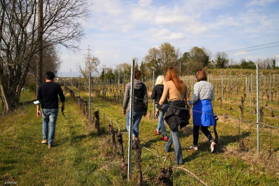 Lake Garda: Vineyard Tour and 6 wine Tasting - Ettore and Greta: The Wood-Aged Finish You’ll Remember