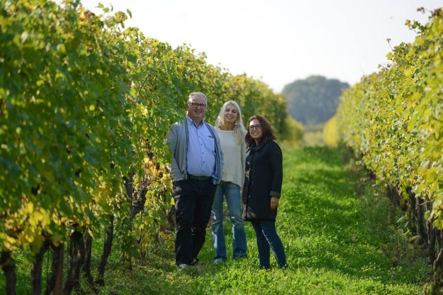 Lake Garda: Vineyard Tour and 6 wine Tasting - Who Should Book This Lake Garda Wine Tour