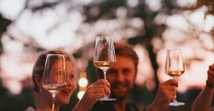Lake Garda: Vineyard Tour and Tasting on the Hills - A Two-Hour Organic Wine Moment on the Garda Hills