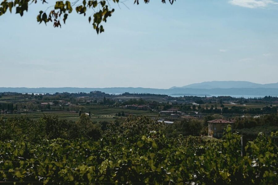 Lake Garda: Vineyard Tour and Tasting on the Hills - Meeting at Località Rotti, 69/C (And Why That Matters)