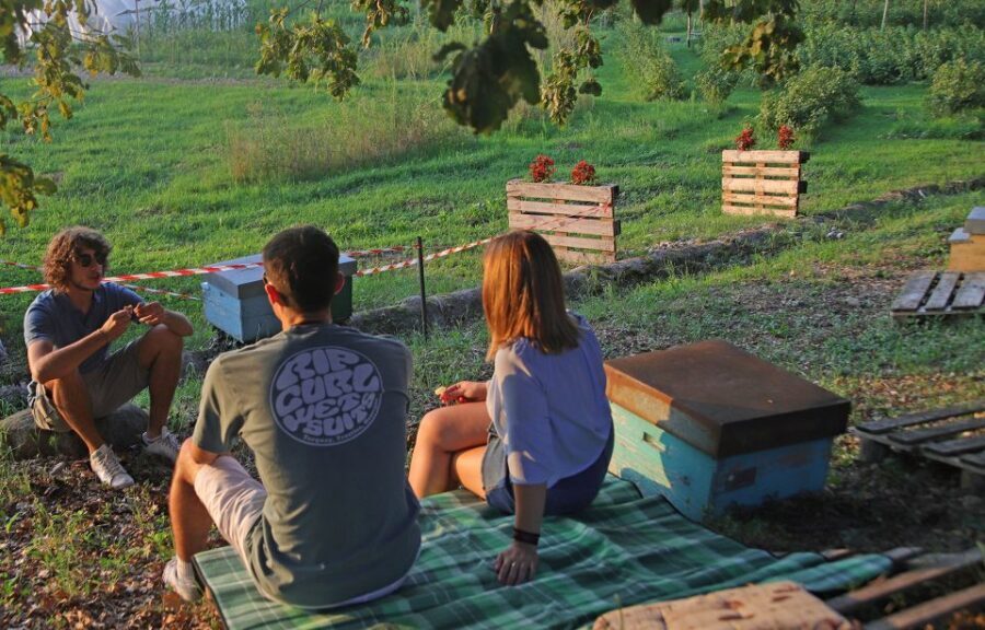 Lazise: Beekeeping Farm Tour and Tasting Experience - Should you book the Lazise beekeeping farm tour?