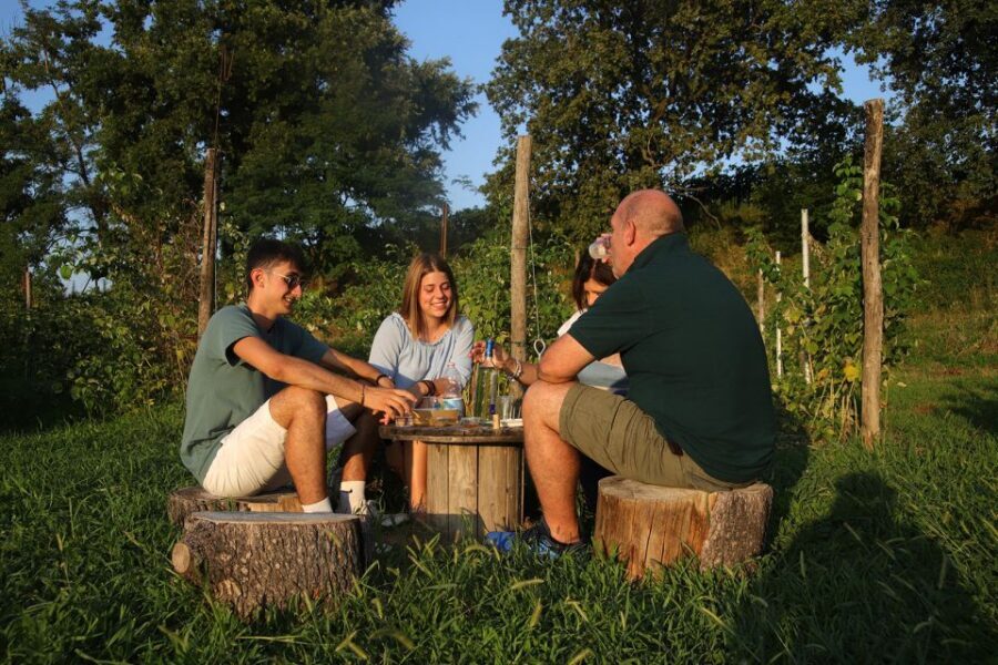 Lazise: Beekeeping Farm Tour and Tasting Experience - Finding the farm near Colà di Lazise (and what to expect on arrival)