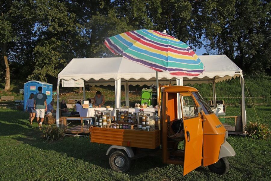 Lazise: Beekeeping Farm Tour and Tasting Experience - The honey tasting: comparing 3 types the smart way