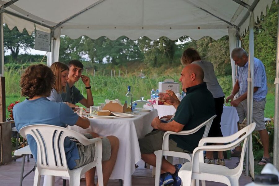 Lazise: Beekeeping Farm Tour and Tasting Experience - Cheese, jam, and white wine: making the farm flavors work together