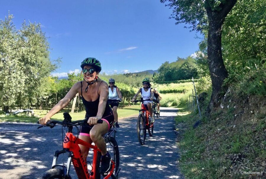 Lazise: Bike Tour and Wine Tasting - Key things I’d prioritize before you go
