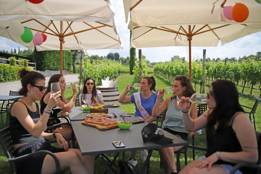 Lazise: Bike Tour and Wine Tasting - Why a Lazise e-bike and wine tasting is such a smart mix