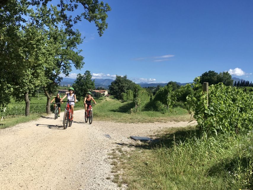 Lazise: Bike Tour and Wine Tasting - The 20 km ride: vineyards, olive groves, and Lake Garda views
