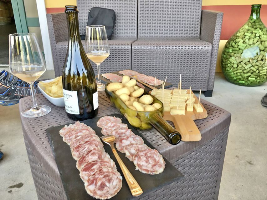 Lazise: Bike Tour and Wine Tasting - How the e-bike changes the difficulty (and who it’s good for)