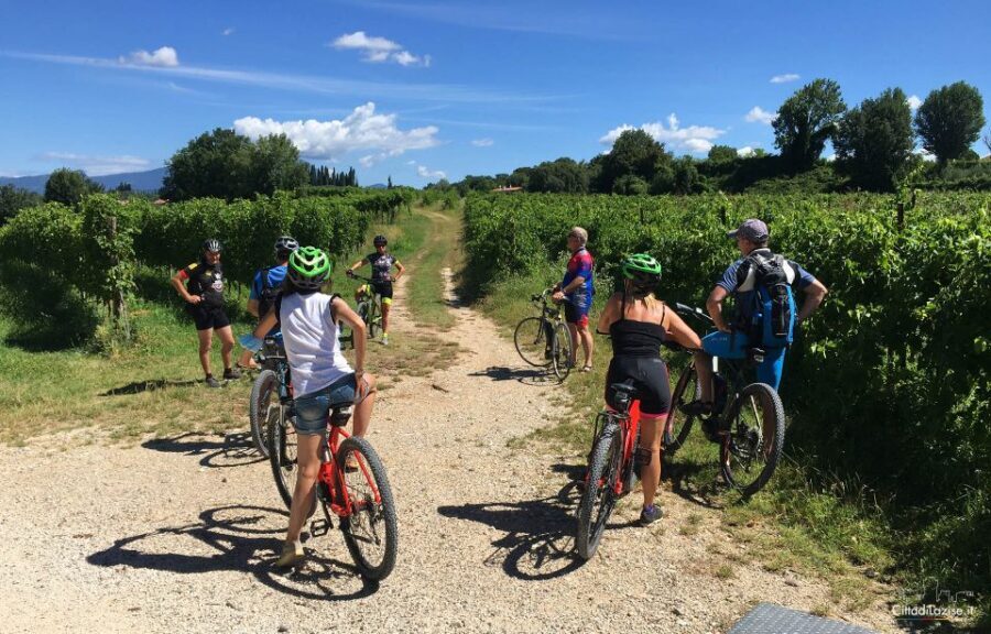 Lazise: Bike Tour and Wine Tasting - Meeting at Le Ginestre Winery: where to be and why it matters