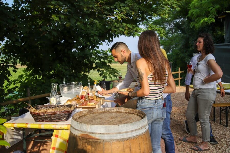 Lazise: Biodynamic Farm Tour and Natural Wine Tasting - Cheese and Cold Cuts Pairing: Why This Food Setup Is Part of the Value