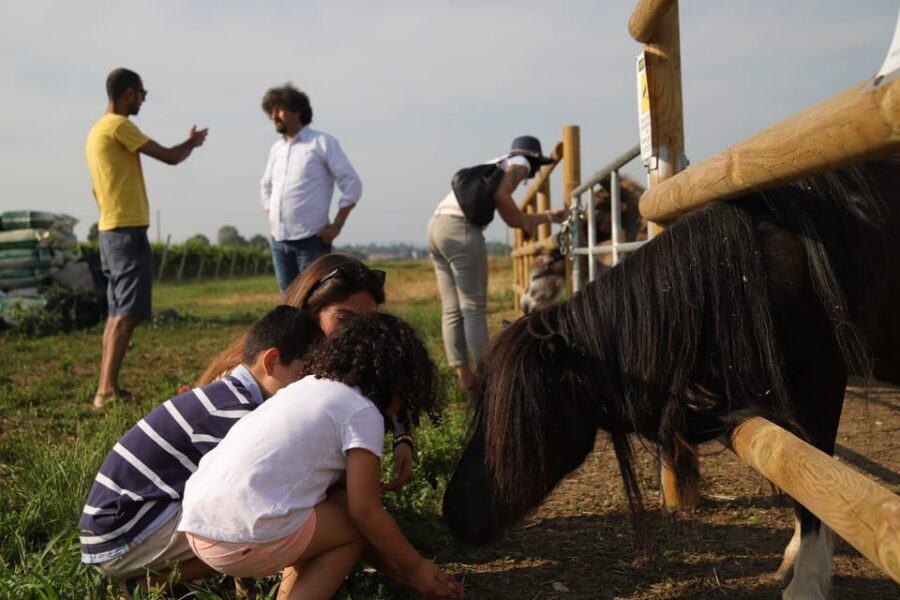 Lazise: Biodynamic Farm Tour and Natural Wine Tasting - Getting There in Colà di Lazise: Parking and Meeting Point Tips