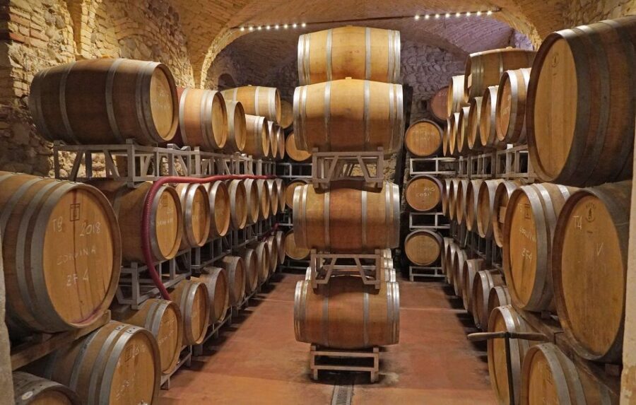 Lazise: Historical Center Wine Tasting Tour - Small group pacing in 1.5 hours: who this is perfect for