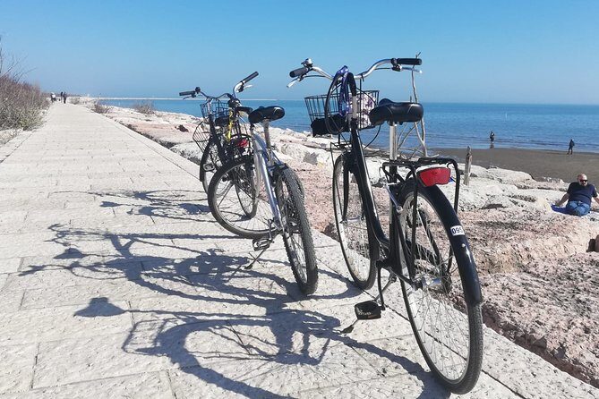 Lido Bike Tour: With a Local on the Island of Cinema - Murazzi breakwater ride to Alberoni dunes and a quiet beach mood