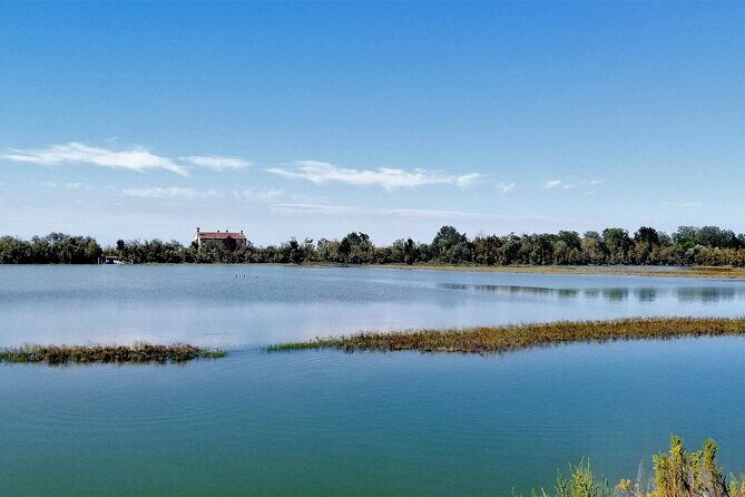 Lio Piccolo: Flamingos & Birdwatching Bike Tour in the Lagoon - Why Lio Piccolo is a flamingo stop near Venice (not a far-off fantasy)
