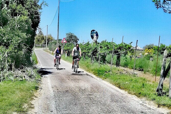 Lio Piccolo: Flamingos & Birdwatching Bike Tour in the Lagoon - Stop 3 and 4: Lio Piccolo flamingos, then the full bird mix