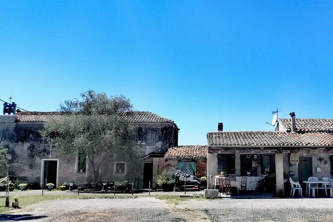 Lio Piccolo: Flamingos & Birdwatching Bike Tour in the Lagoon - Bike-tour value: what the price covers and what you’ll pay extra