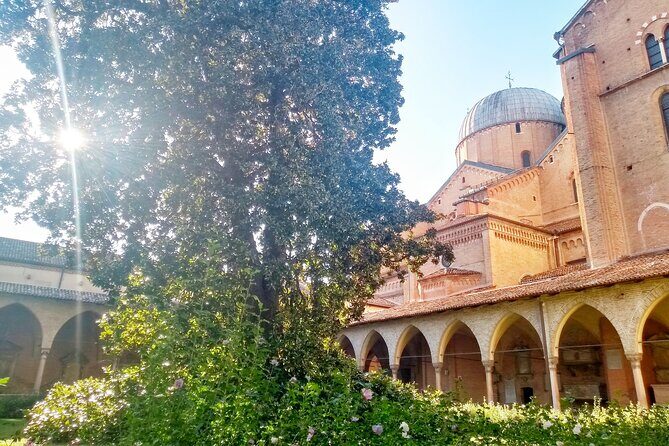 Live Padua as a local - Palazzo Bo: University of Padua roots and a quick look at a major scientific site