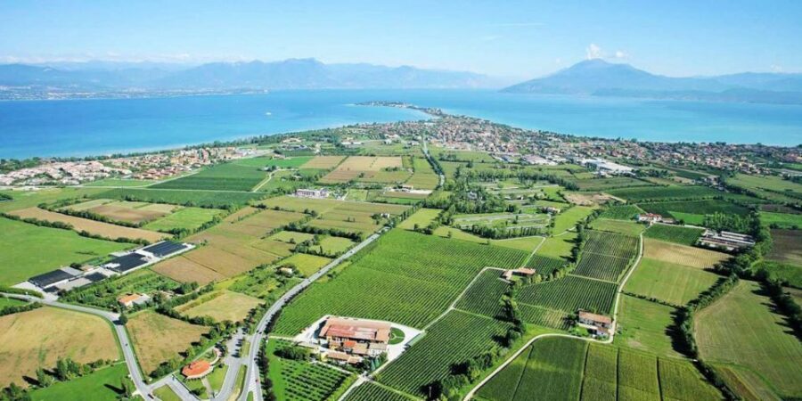 Lugana Wine Tour With Private Panoramic Boat on Lake Garda - The driver, the flow, and why this feels smooth