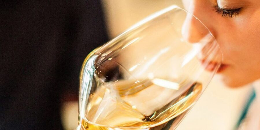 Lugana Wine Tour With Private Panoramic Boat on Lake Garda - Value check: what you get for $988.08 per person