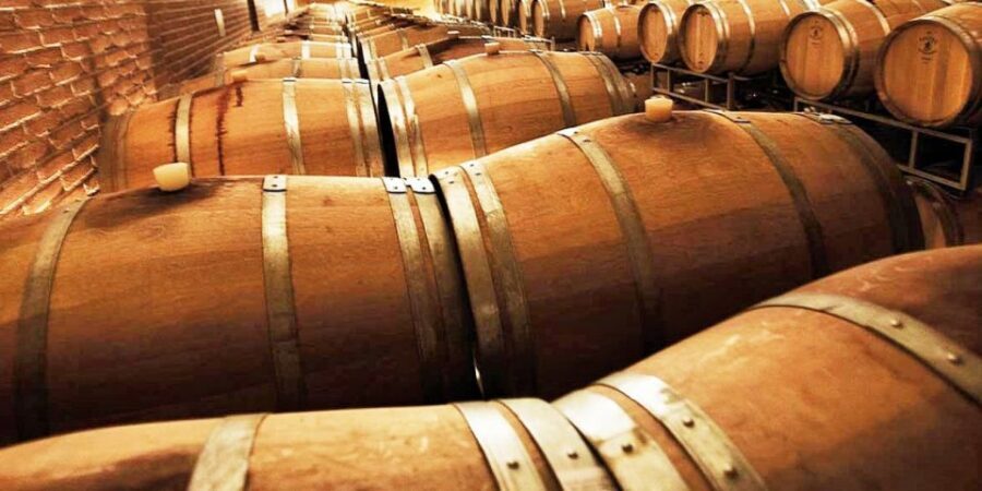 Lugana Wine Tour With Private Panoramic Boat on Lake Garda - Who this Lugana wine tour is best for
