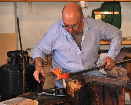 Murano, Burano and Torcello Half-Day Sightseeing Tour - The guide and the boat audio: helpful, but don’t count on perfect clarity