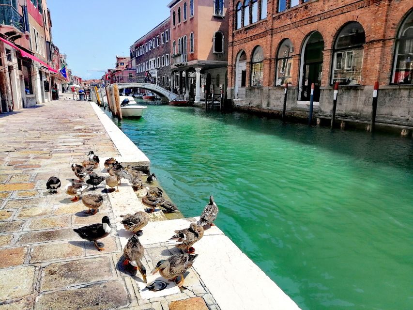 Murano: Glass Lampwork Workshop and Walking Tour - Best for who: glass fans, curious walkers, and families
