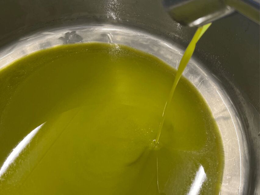 Olive Mill Tour and Tasting in the Padua Hills - Key Takeaways Before You Go