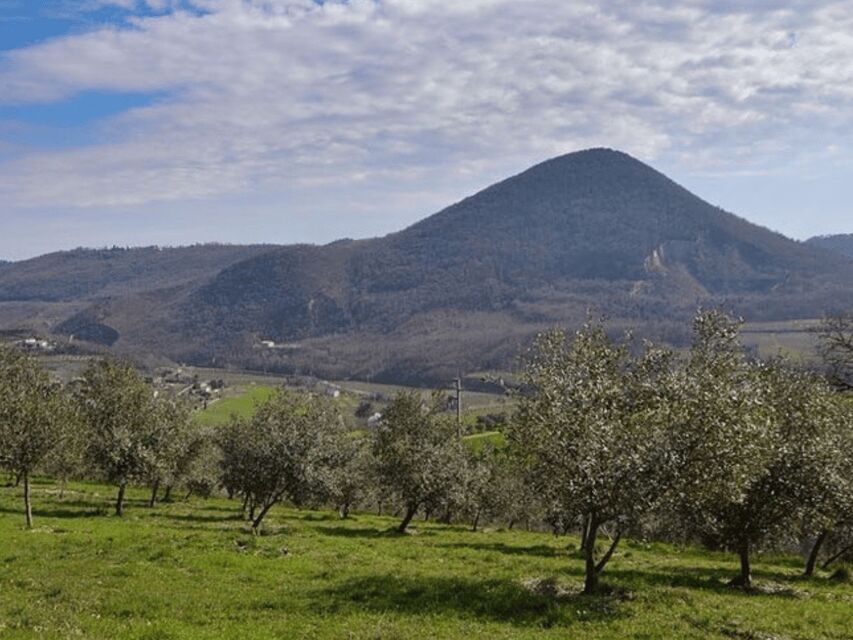 Olive Mill Tour and Tasting in the Padua Hills - The tasting: DOP oils, organic bottles, and the Rasara monocultivar