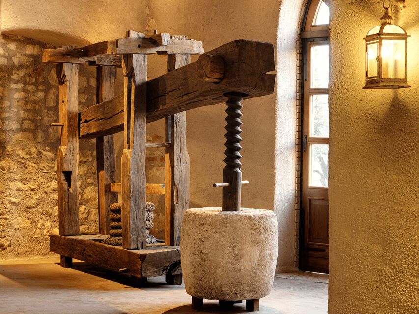 Olive Mill Tour and Tasting in the Verona Countryside - The real appeal: modern mill, old methods, and tasting you can use