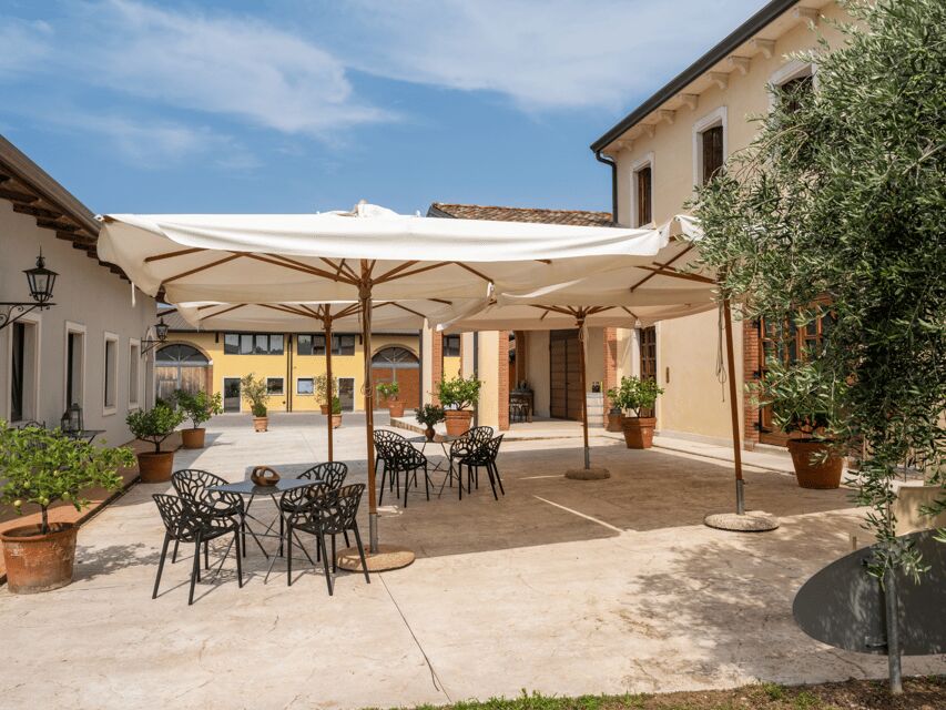 Olive Mill Tour and Tasting in the Verona Countryside - The Frantoio 4.0 mill tour: how modern tools protect quality