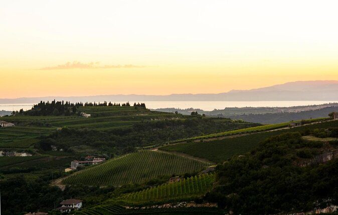 Pagus Wine Tours® - A taste of Amarone - Half day wine tour - Key highlights you’ll actually feel