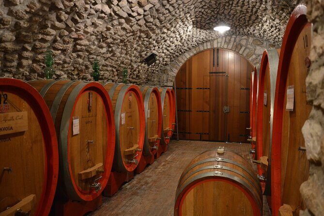 Pagus Wine Tours® - A taste of Amarone - Half day wine tour - Inside the Amarone winery: what the tasting experience is built to teach