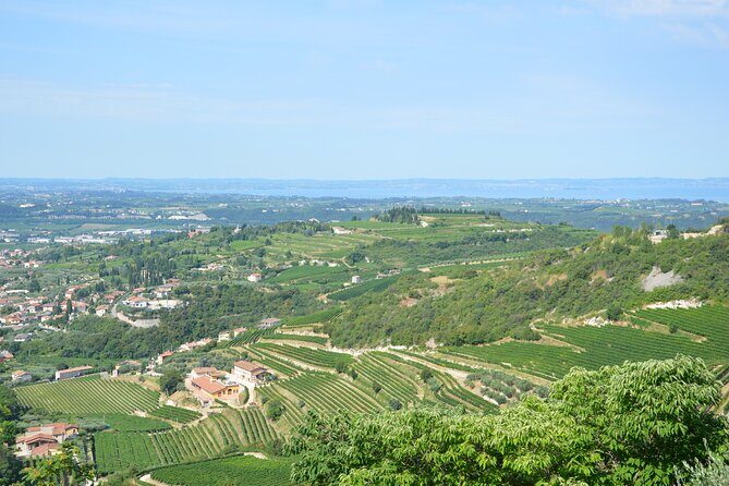 Pagus Wine Tours® - A taste of Amarone - Half day wine tour - Meeting point, start time, and what the 3.5 hours really means