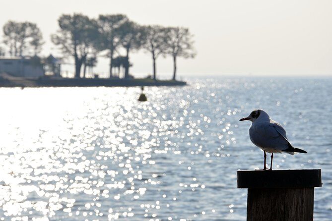 Pagus Wine Tours® - Sirmione by boat and Amarone - Full day tour - Pagus Wine Tours in Verona: start with wine-shopping at cellar prices