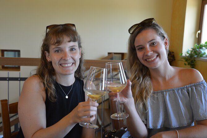 Pagus Wine Tours® - Soave and Amarone - Half day wine tour - The van, the pace, and staying on schedule in 4.5 hours