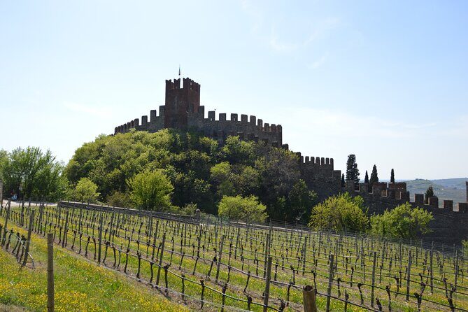 Pagus Wine Tours® - Soave and Amarone - Half day wine tour - Price and value: what $175.90 is buying you