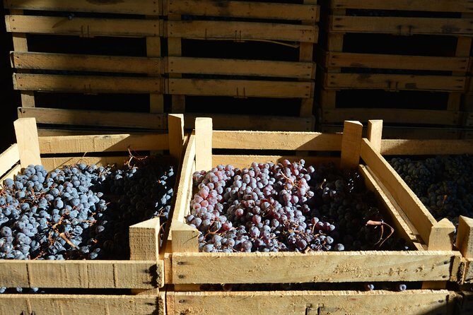 Pagus Wine Tours® - Two Amarone wineries - Half day wine tour - What you taste: Amarone plus pairings that make sense
