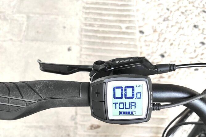 Palladian E-Bike Rental in & around Vicenza - Safety, stops, and locks: the stuff that saves your day