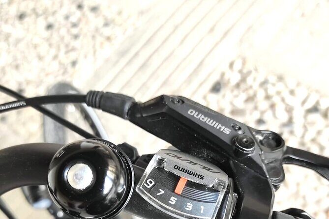 Palladian E-Bike Rental in & around Vicenza - Where you start in Vicenza: Corso Fogazzaro and the Palazzo hub