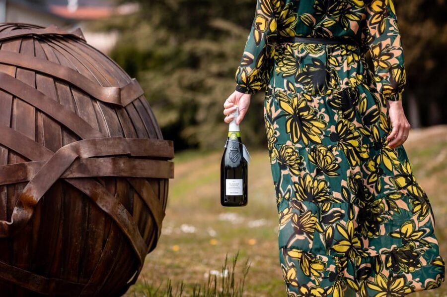 PARCO DELLA FILANDETTA WINE & ART FARM : ART&NATURE TOUR - Cellars and the Winemaking Process: How the Tour Keeps It Practical