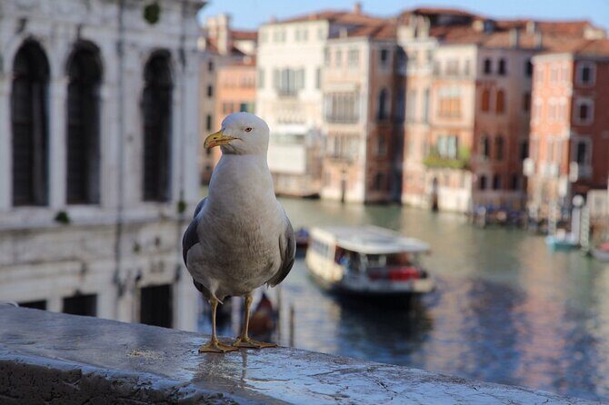 Photography workshop in the magical Venice (3h) - Timing, weather, and the Venice access fee you might run into
