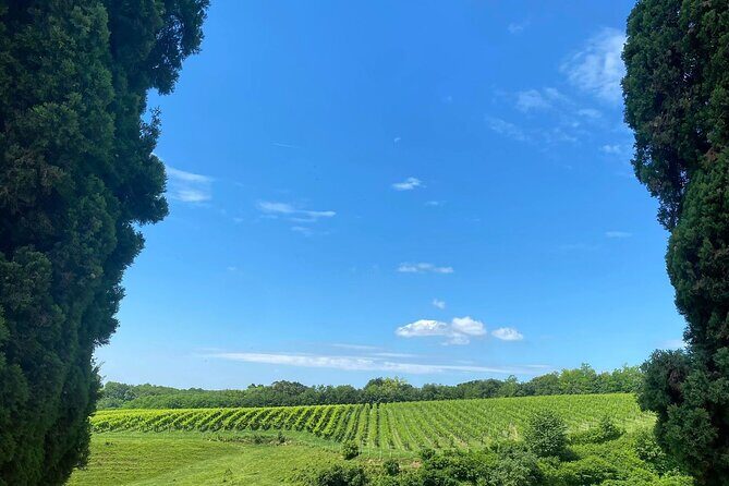 Premium Cheeses and Gins Tour in the Prosecco hills. Full lunch! - Getting out of Venice: Piazzale Roma to the hills by 9am