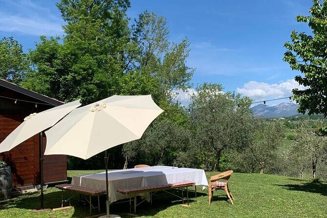 Premium Private Prosecco Hills Tour - 2 Wineries. Private tour. - Collalbrigo: the lunch pause that keeps the day from feeling rushed