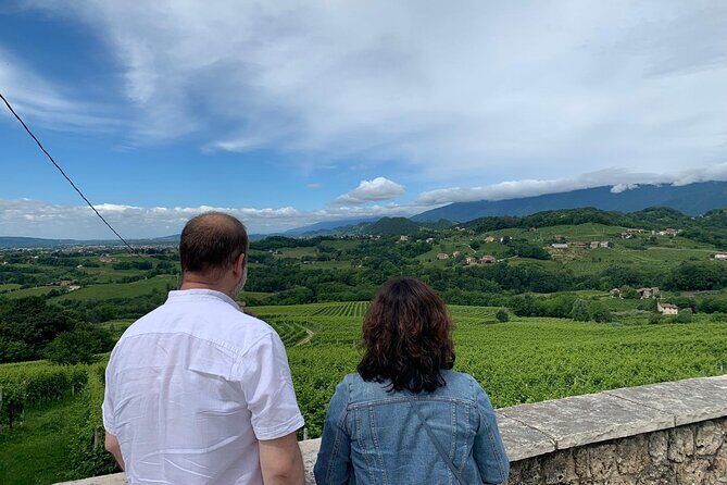 Premium Private Prosecco Hills Tour - 2 Wineries. Private tour. - The second cantina: a technical tasting of 4 Prosecchi tied to 5 grape varieties