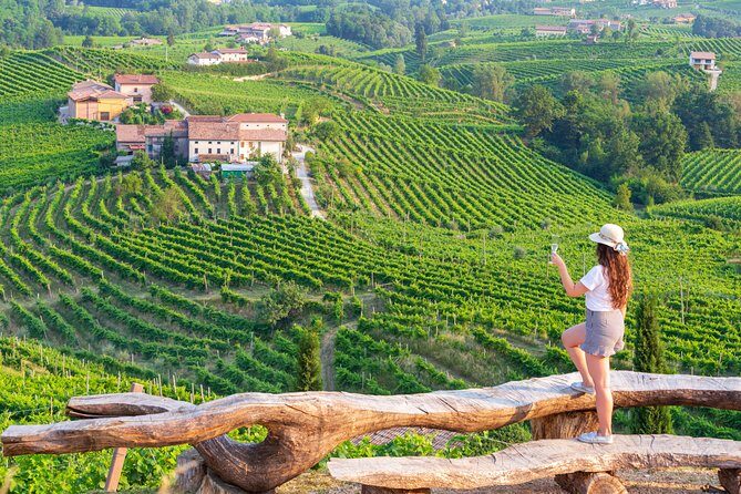 Premium Prosecco Hills Winery Tour with Prosecco Tastings & Food - Key points to know before you go