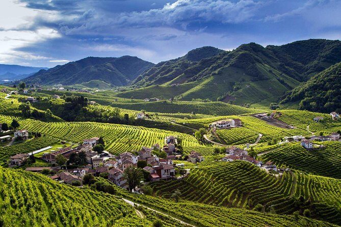 Premium Prosecco Hills Winery Tour with Prosecco Tastings & Food - Prosecco Hills by minivan: your time-saving route out of Venice