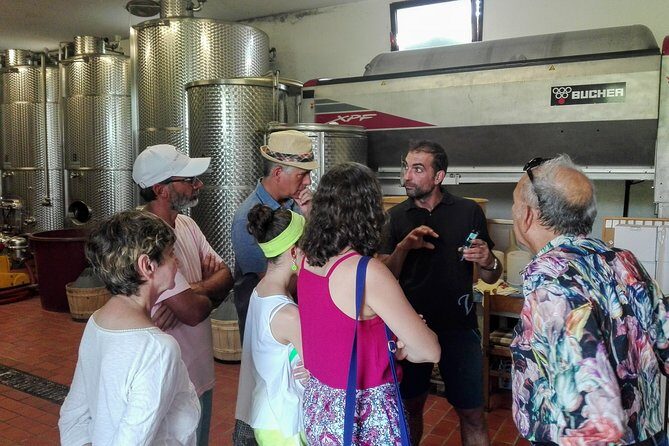 Premium Prosecco Hills Winery Tour with Prosecco Tastings & Food - What you’ll taste (and how to match wine and bites)